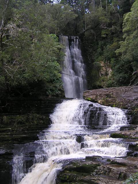 The Catlins Coast 034.jpg